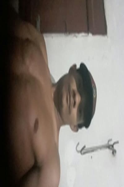 Novinho