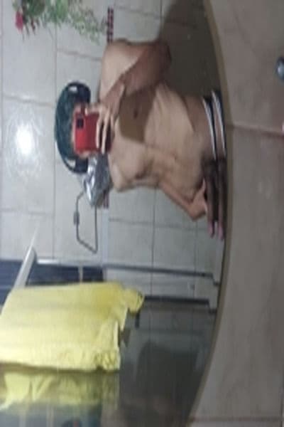 novinho 19cm