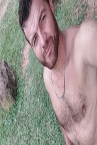 Gato loiro 33