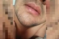 Ursinho pss